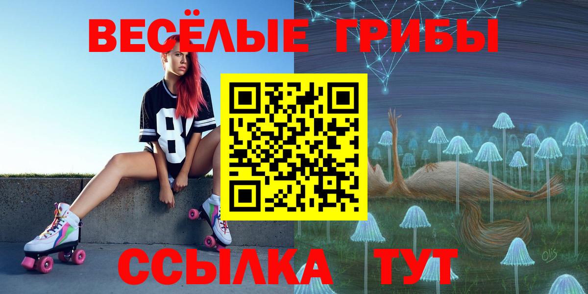 Галлюциногенные грибы Psilocybe  Вход с VPN  Новороссийск 