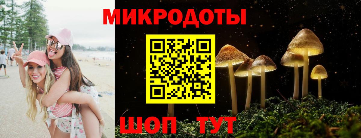 Галлюциногенные грибы Magic Shrooms Новороссийск